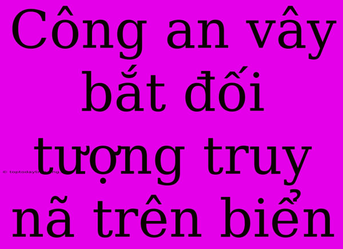 Công An Vây Bắt Đối Tượng Truy Nã Trên Biển