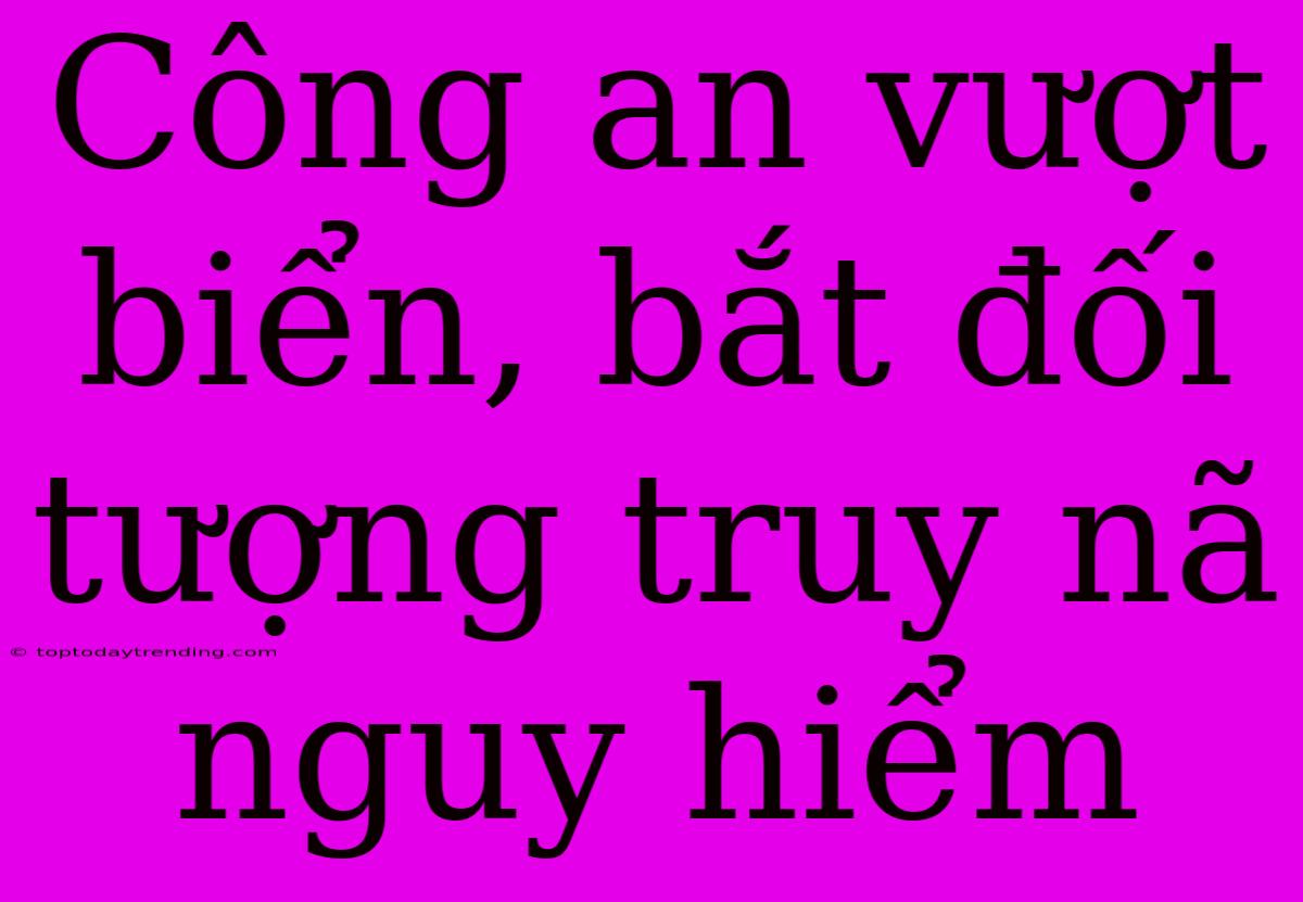 Công An Vượt Biển, Bắt Đối Tượng Truy Nã Nguy Hiểm