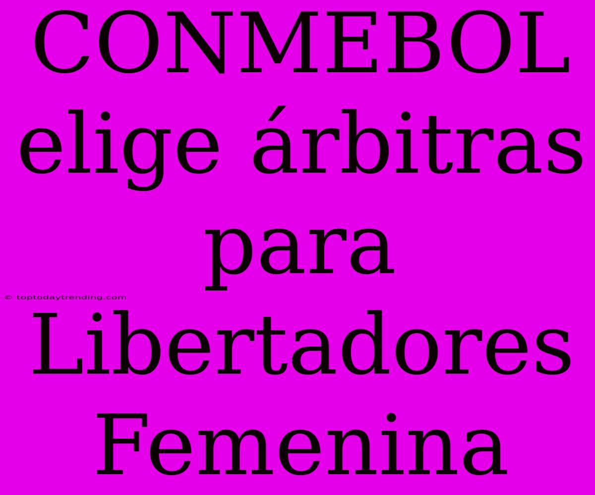 CONMEBOL Elige Árbitras Para Libertadores Femenina