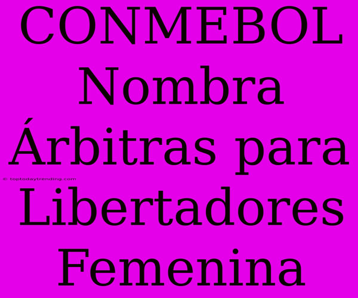 CONMEBOL Nombra Árbitras Para Libertadores Femenina