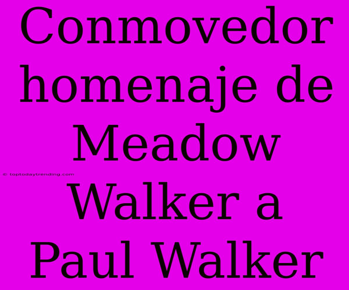 Conmovedor Homenaje De Meadow Walker A Paul Walker