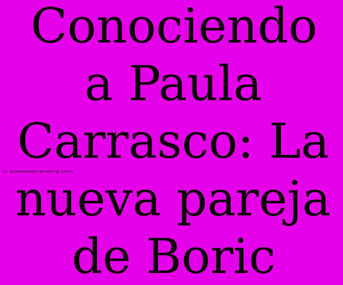 Conociendo A Paula Carrasco: La Nueva Pareja De Boric