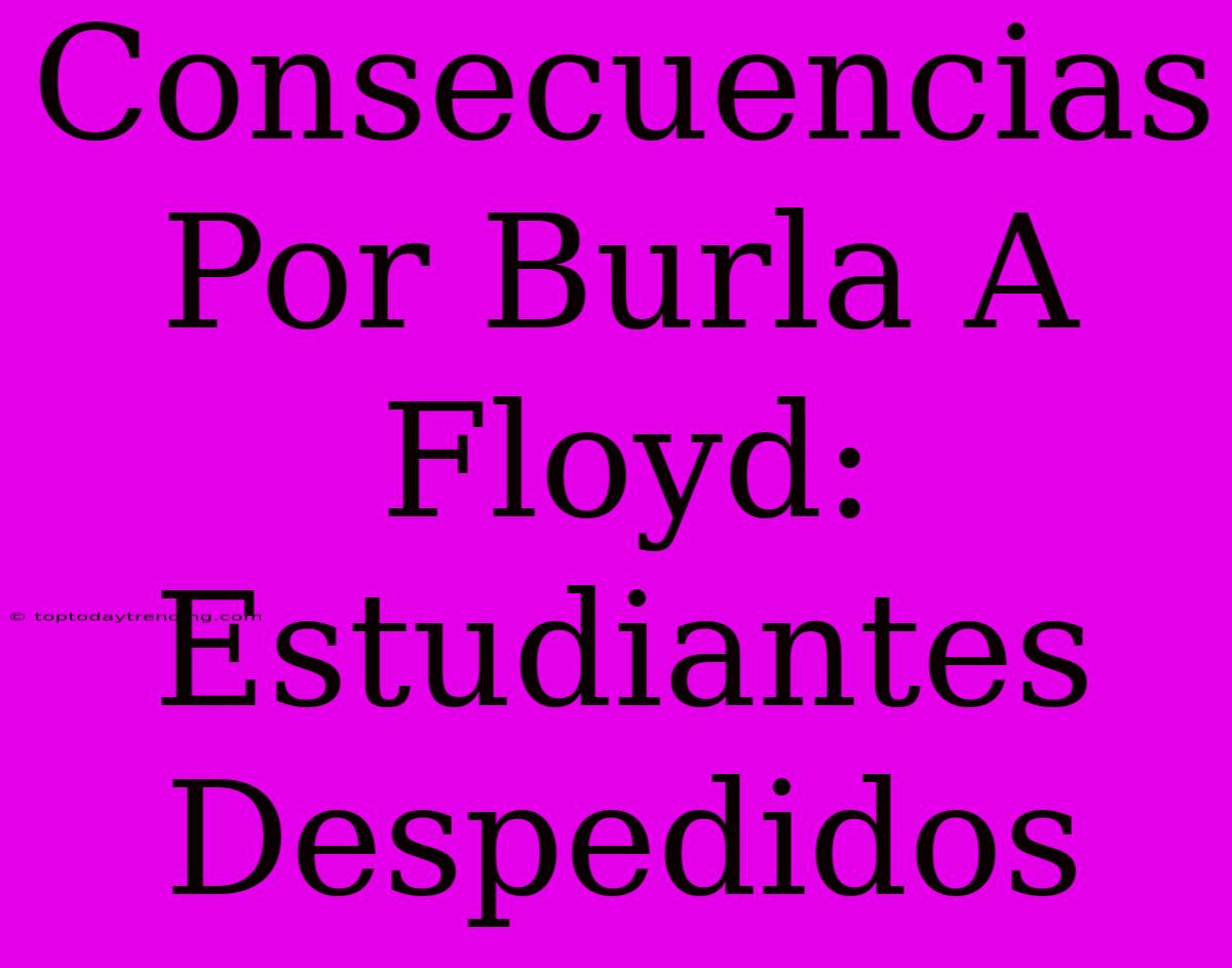 Consecuencias Por Burla A Floyd: Estudiantes Despedidos