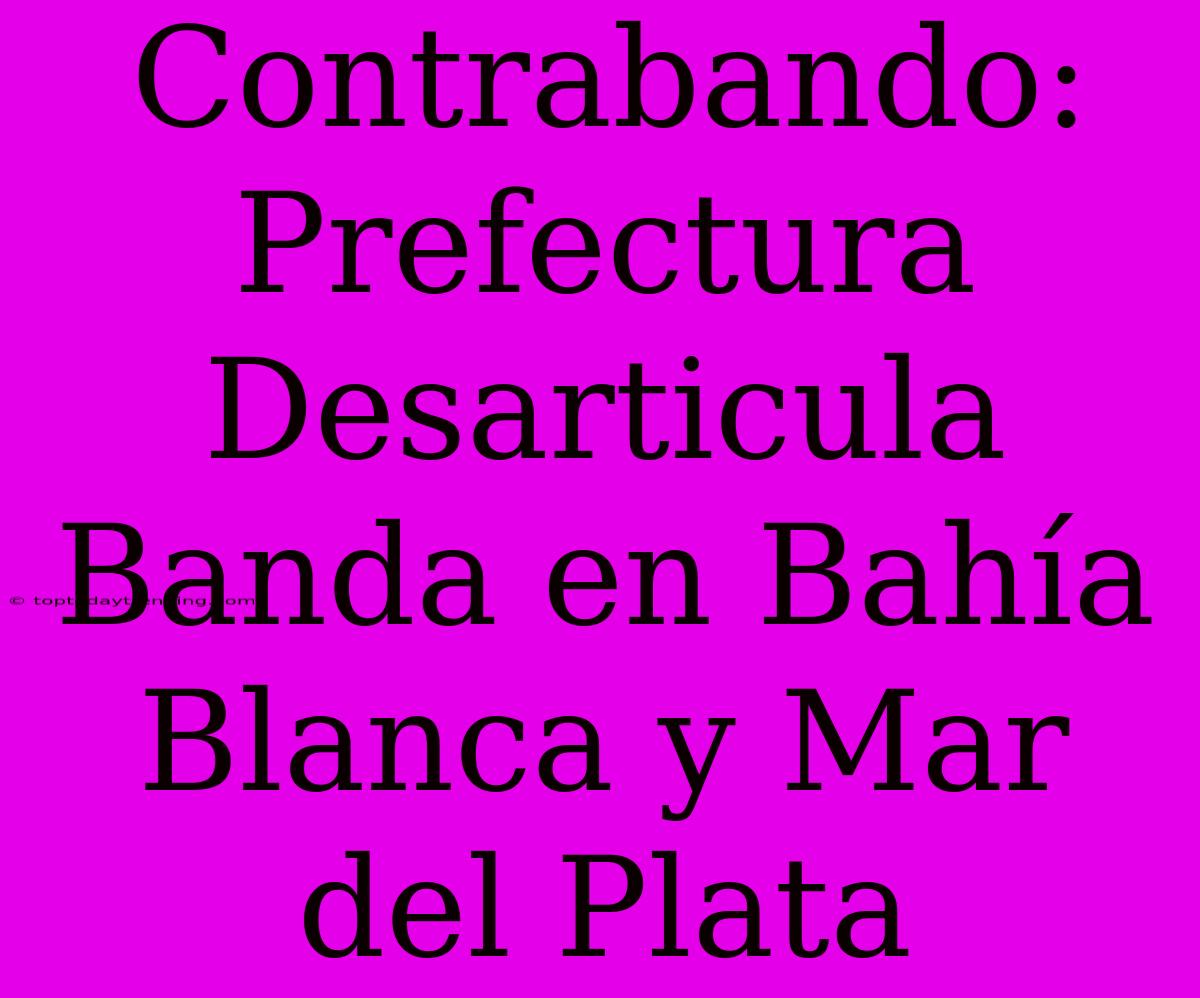 Contrabando: Prefectura Desarticula Banda En Bahía Blanca Y Mar Del Plata