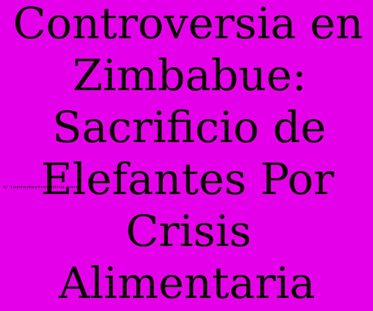 Controversia En Zimbabue: Sacrificio De Elefantes Por Crisis Alimentaria