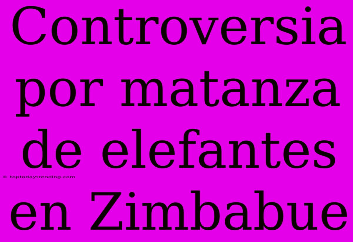 Controversia Por Matanza De Elefantes En Zimbabue