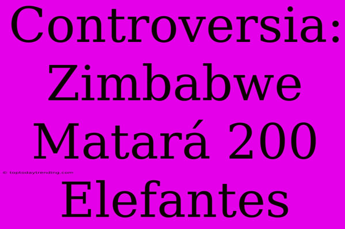 Controversia: Zimbabwe Matará 200 Elefantes