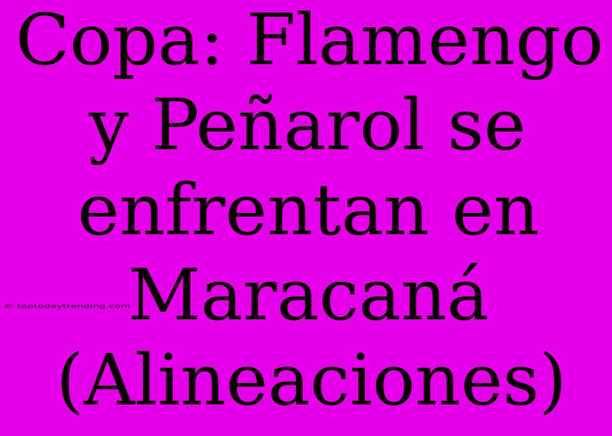 Copa: Flamengo Y Peñarol Se Enfrentan En Maracaná (Alineaciones)