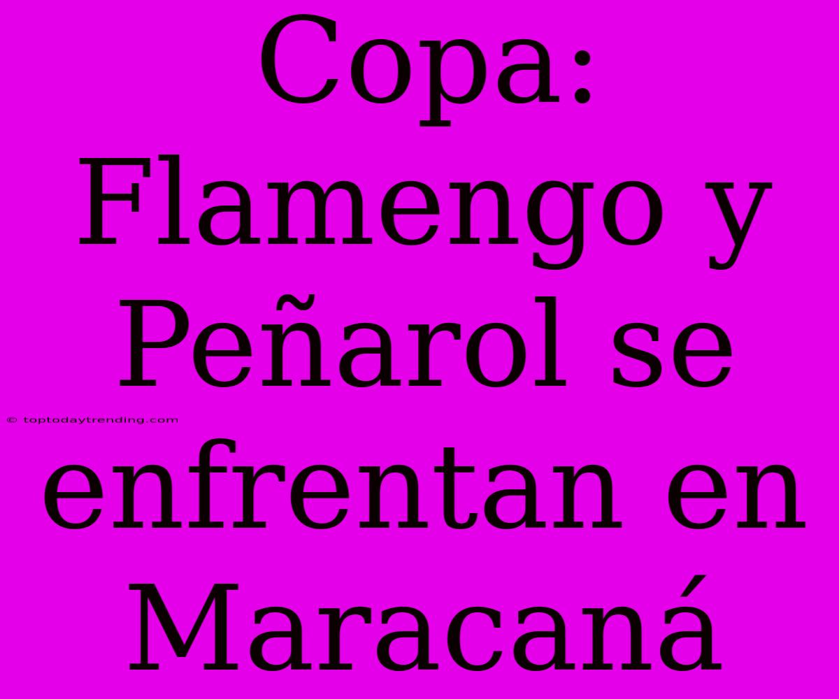 Copa: Flamengo Y Peñarol Se Enfrentan En Maracaná