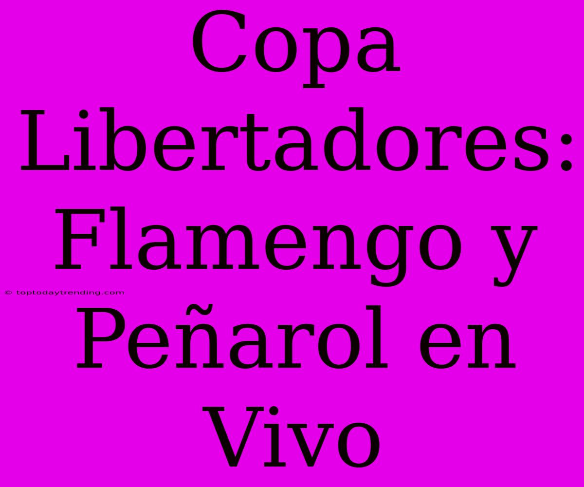 Copa Libertadores: Flamengo Y Peñarol En Vivo