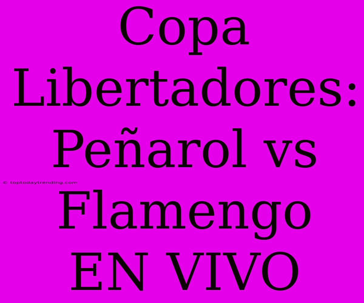 Copa Libertadores: Peñarol Vs Flamengo EN VIVO