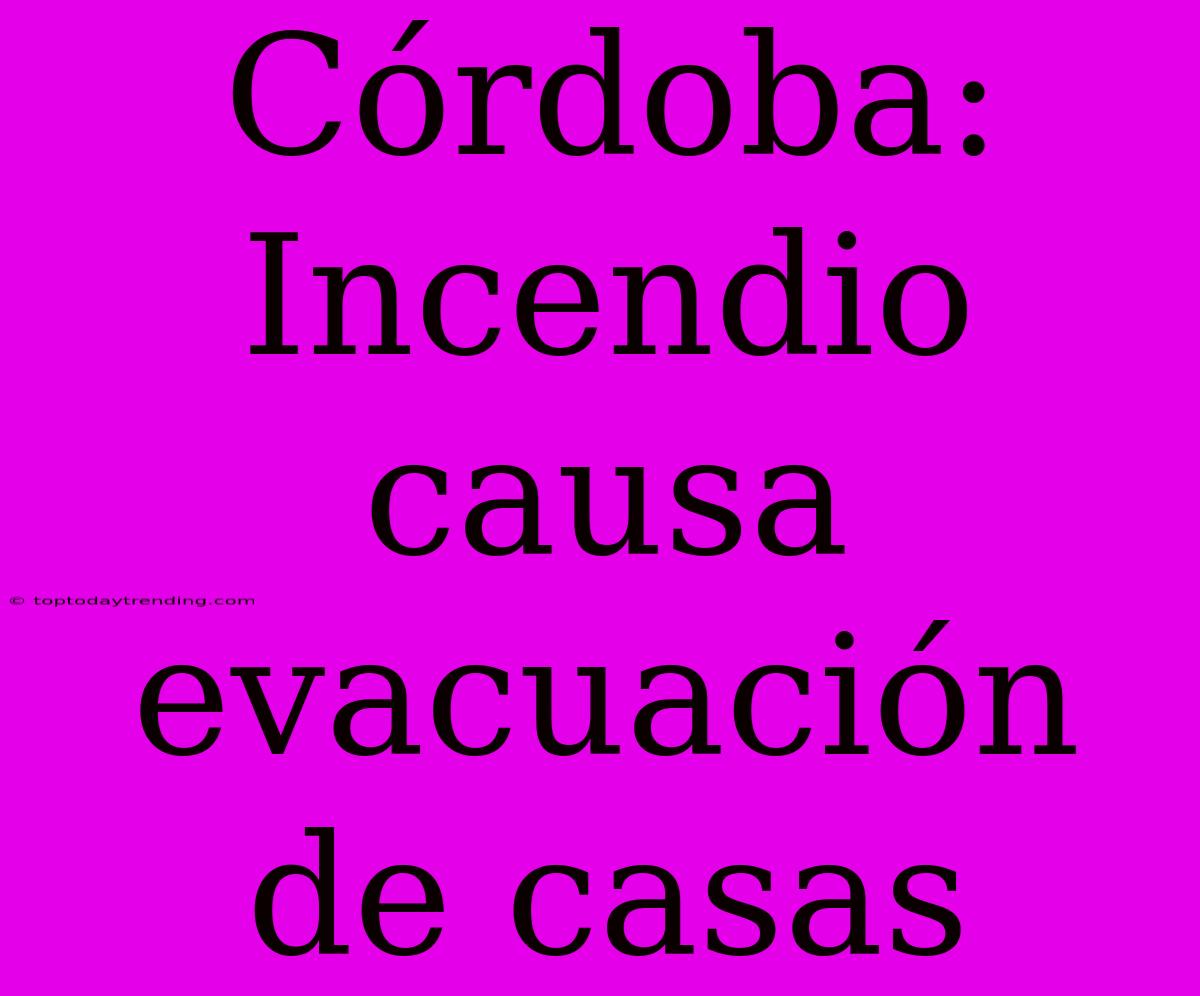 Córdoba: Incendio Causa Evacuación De Casas