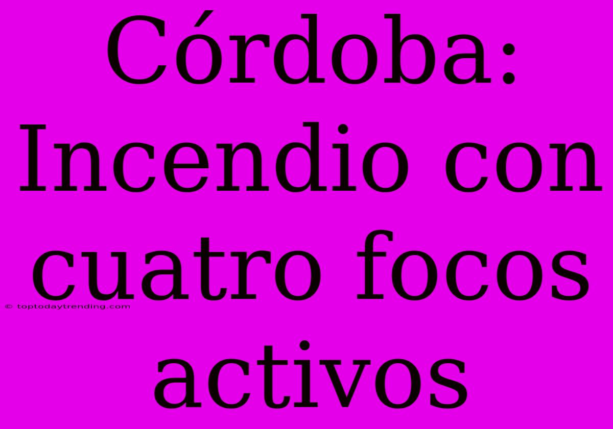 Córdoba: Incendio Con Cuatro Focos Activos