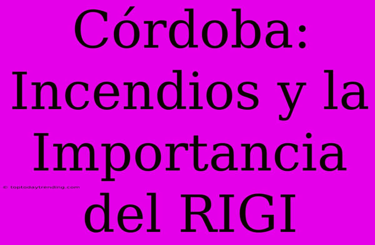 Córdoba: Incendios Y La Importancia Del RIGI