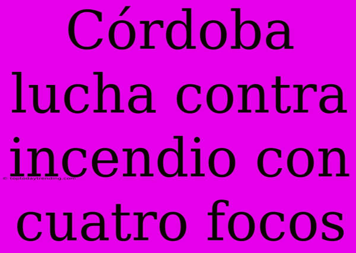 Córdoba Lucha Contra Incendio Con Cuatro Focos