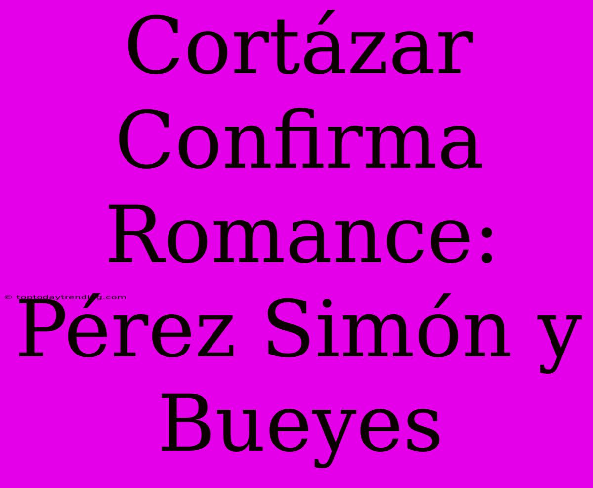 Cortázar Confirma Romance: Pérez Simón Y Bueyes