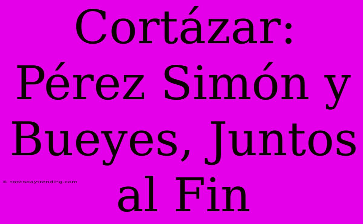 Cortázar: Pérez Simón Y Bueyes, Juntos Al Fin