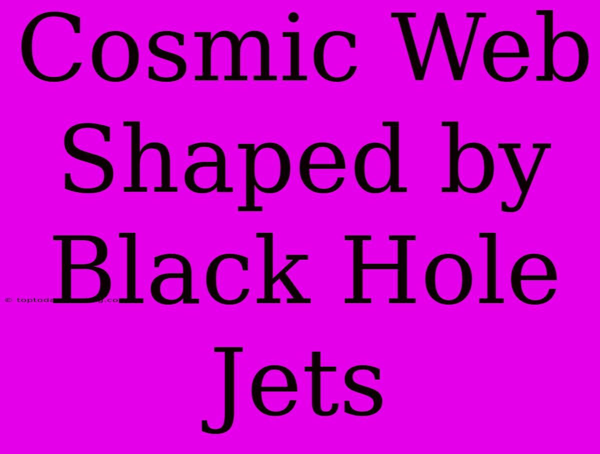 Cosmic Web Shaped By Black Hole Jets