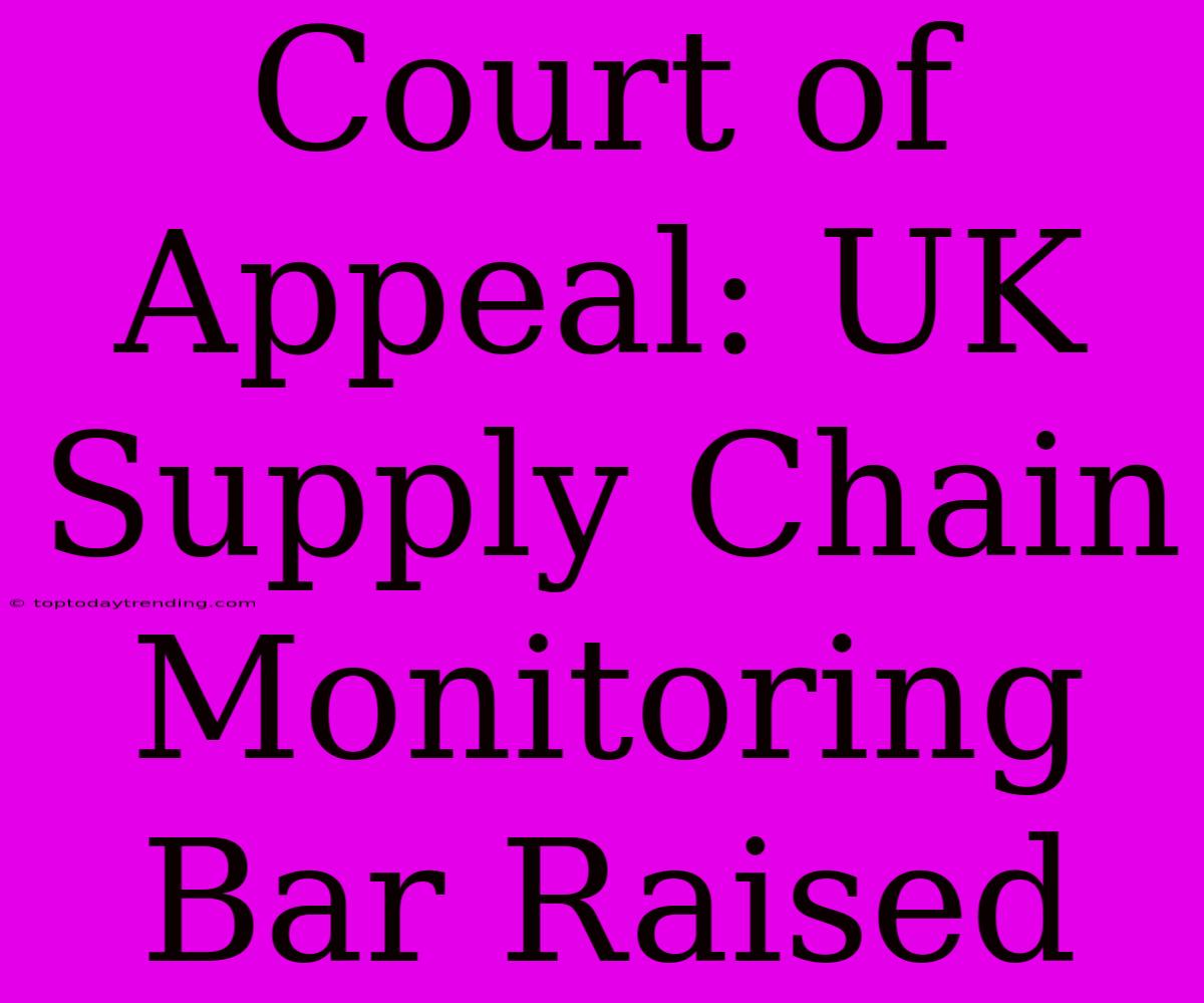 Court Of Appeal: UK Supply Chain Monitoring Bar Raised