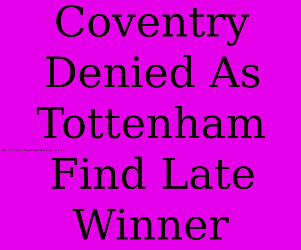 Coventry Denied As Tottenham Find Late Winner