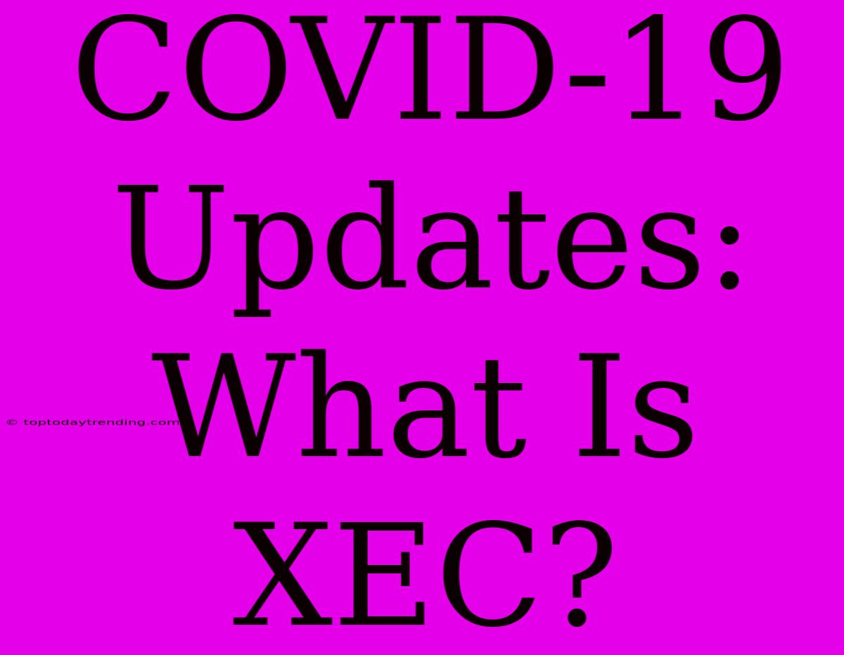 COVID-19 Updates: What Is XEC?