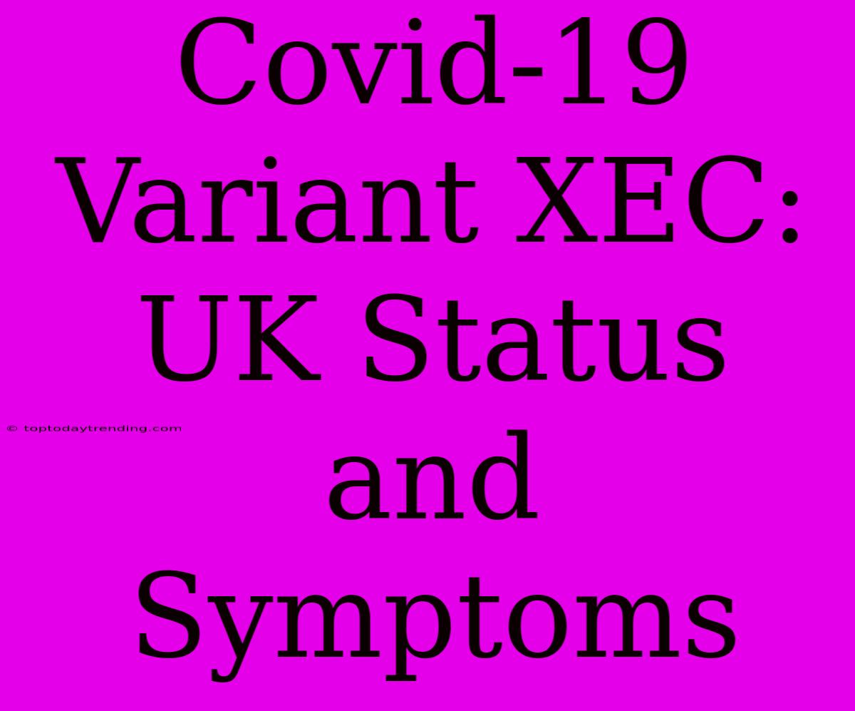 Covid-19 Variant XEC: UK Status And Symptoms