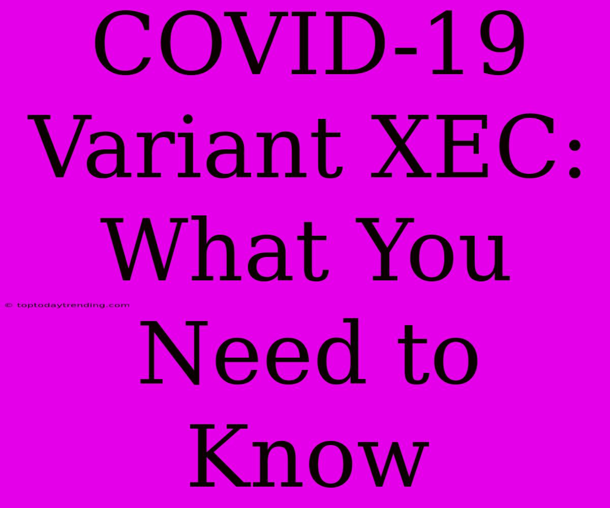 COVID-19 Variant XEC: What You Need To Know