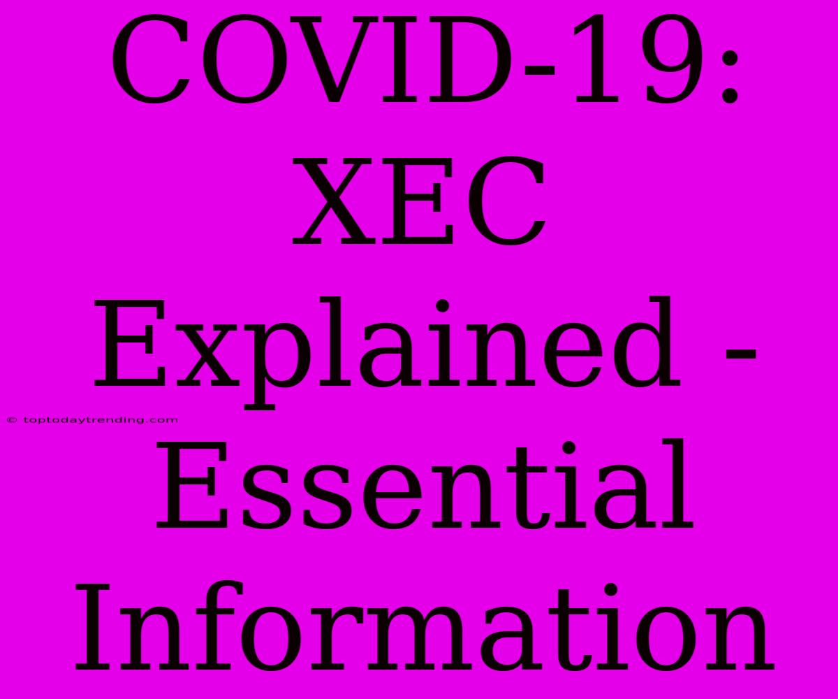 COVID-19: XEC Explained - Essential Information