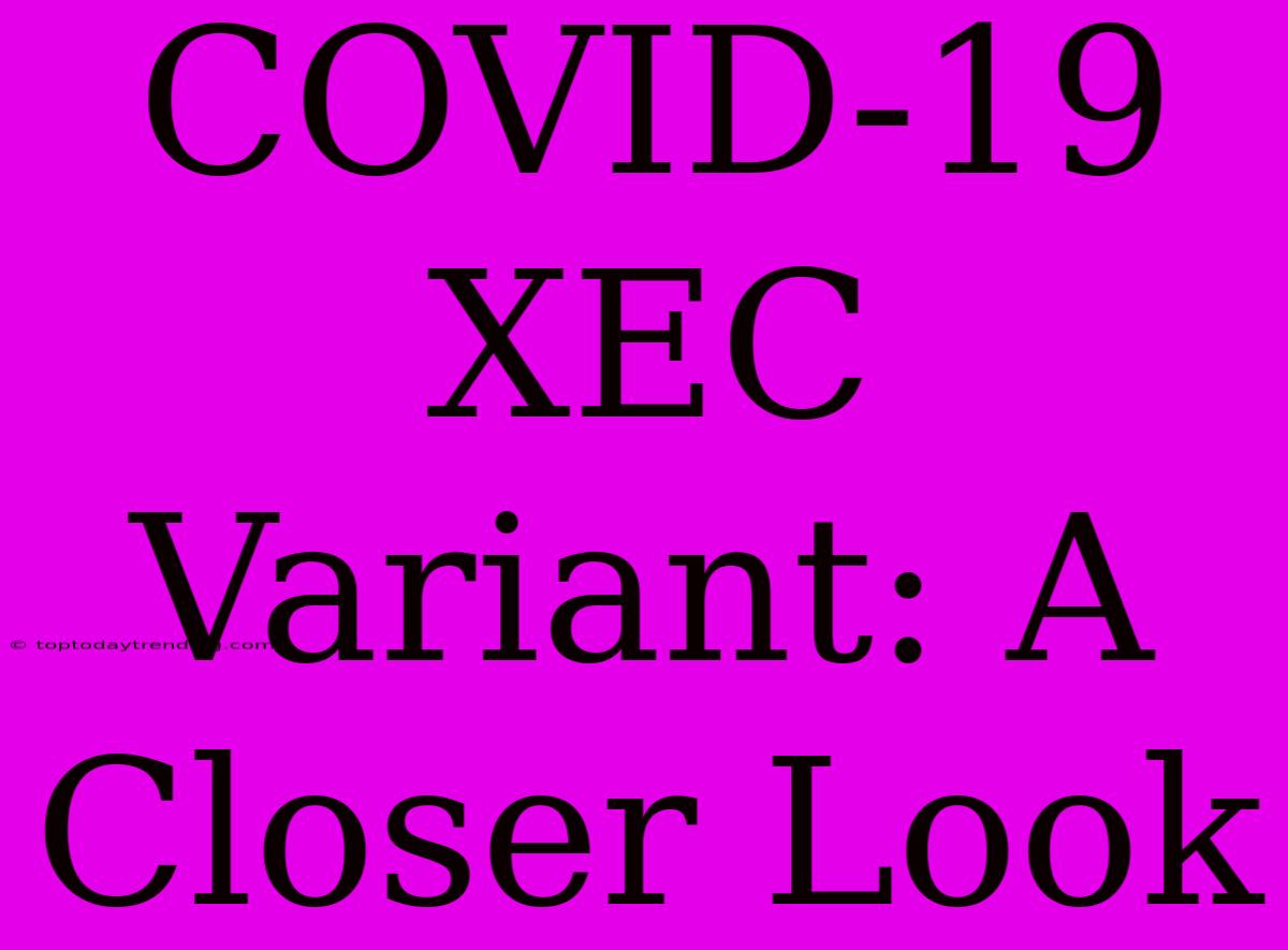 COVID-19 XEC Variant: A Closer Look