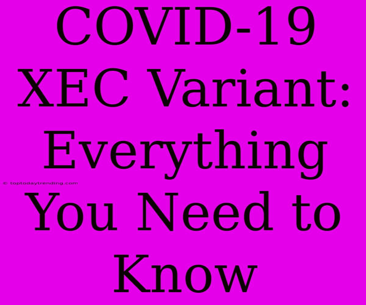 COVID-19 XEC Variant: Everything You Need To Know