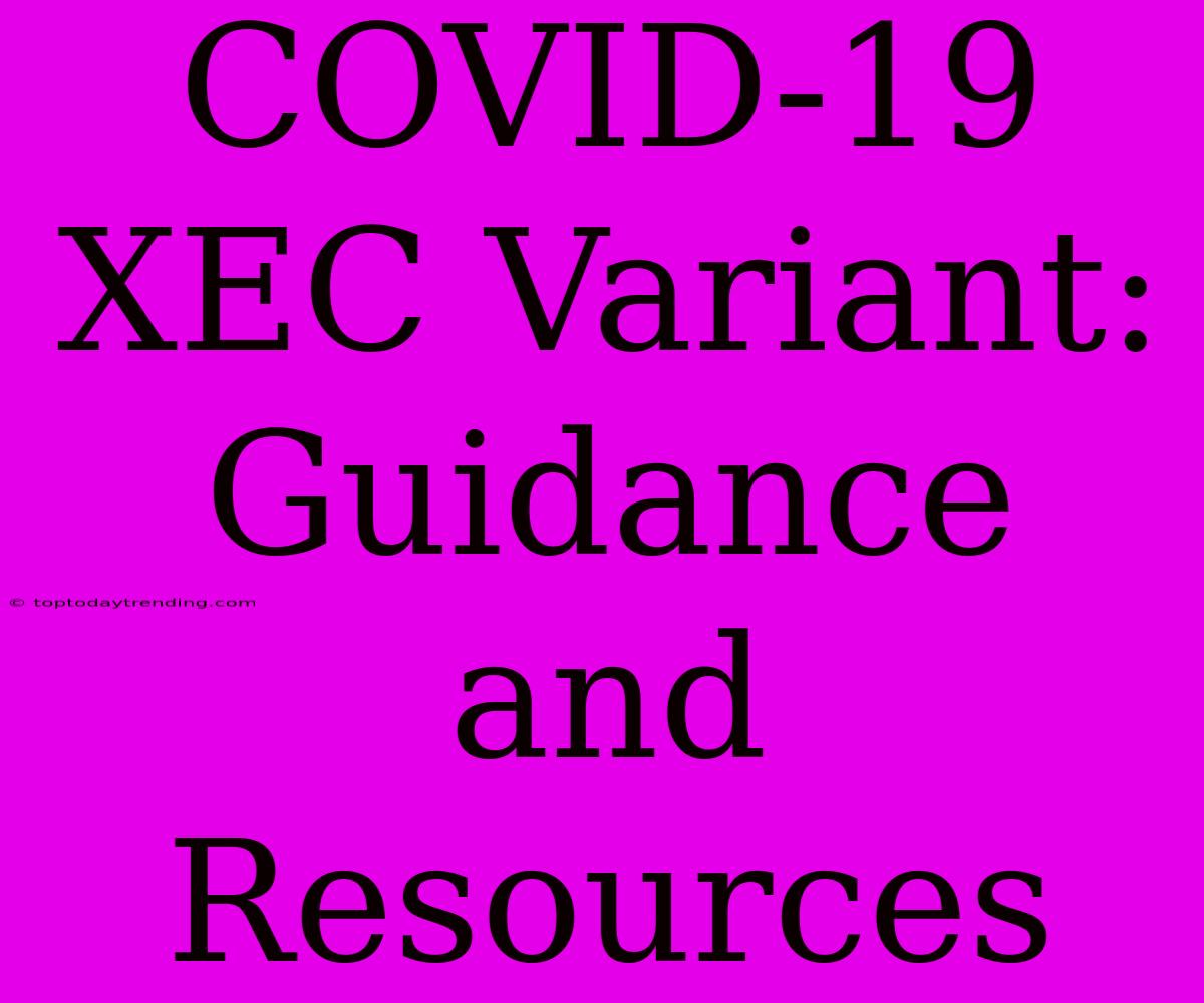 COVID-19 XEC Variant: Guidance And Resources