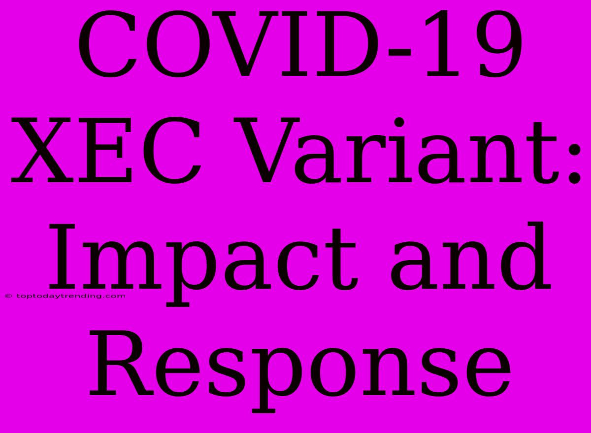 COVID-19 XEC Variant: Impact And Response