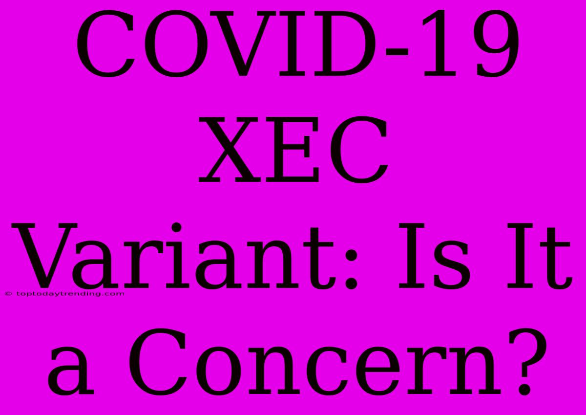 COVID-19 XEC Variant: Is It A Concern?