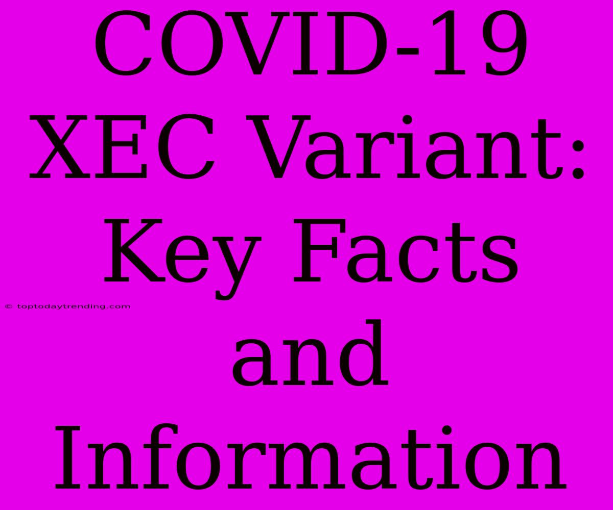 COVID-19 XEC Variant: Key Facts And Information