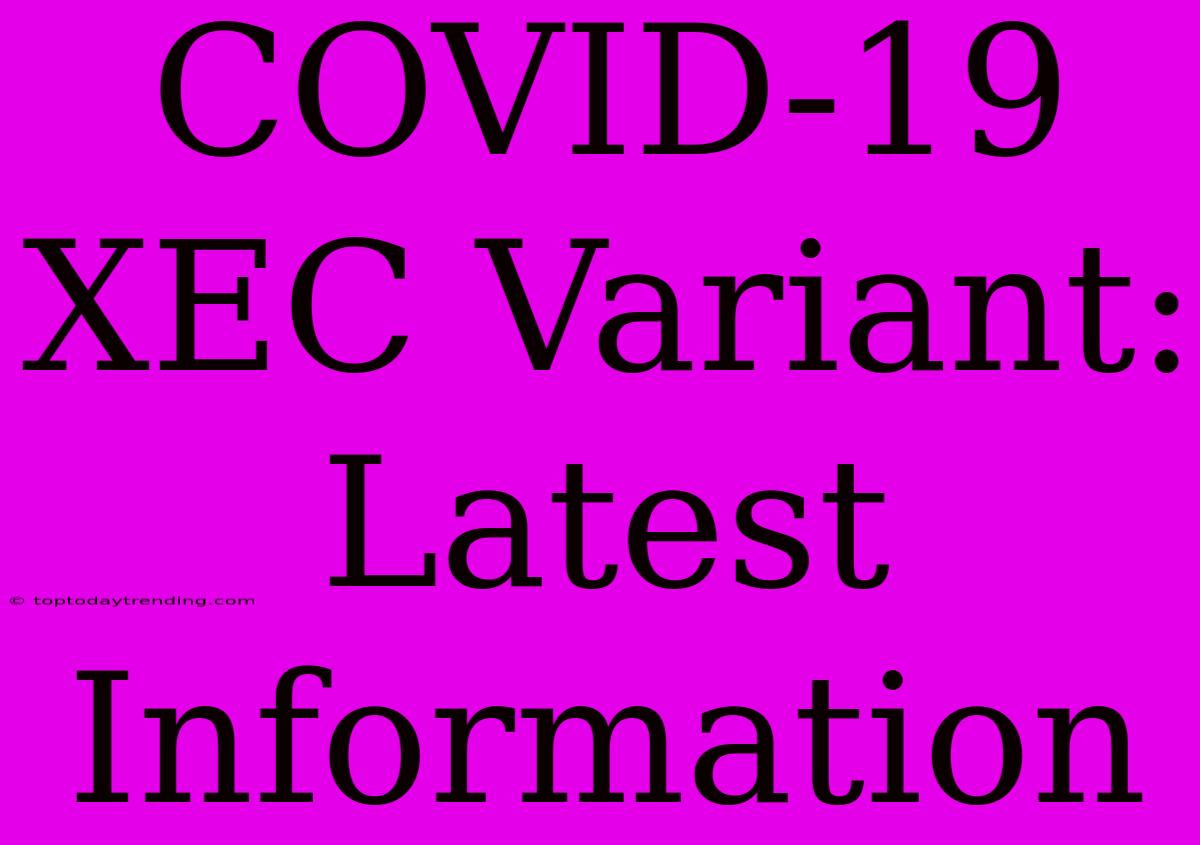 COVID-19 XEC Variant: Latest Information