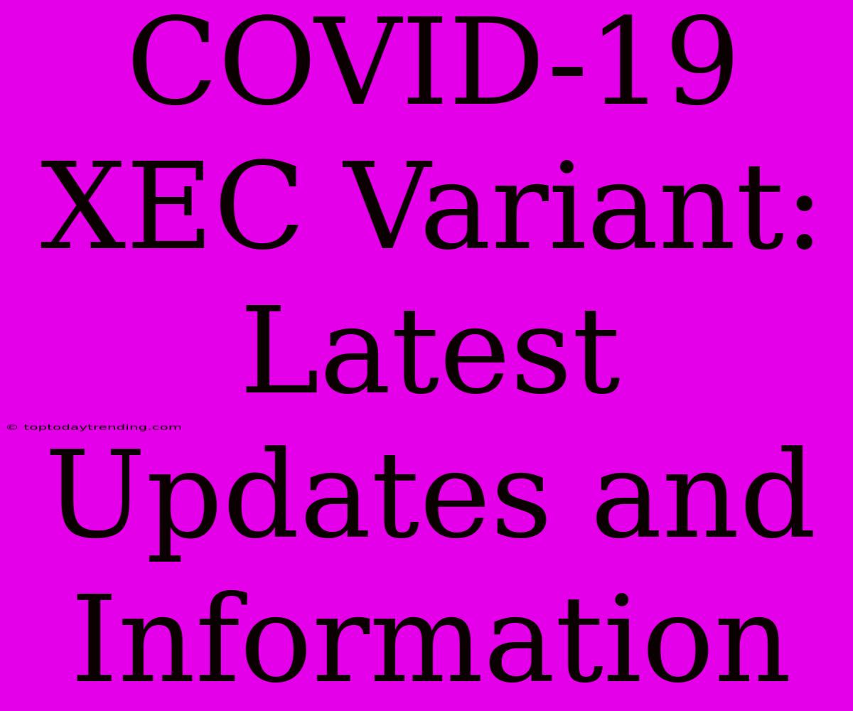 COVID-19 XEC Variant: Latest Updates And Information