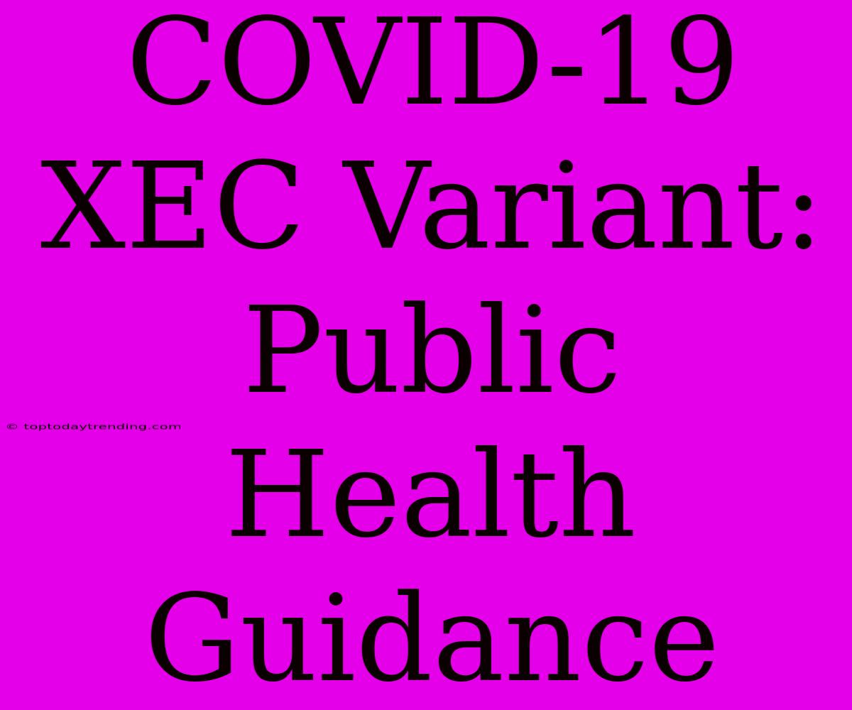 COVID-19 XEC Variant: Public Health Guidance