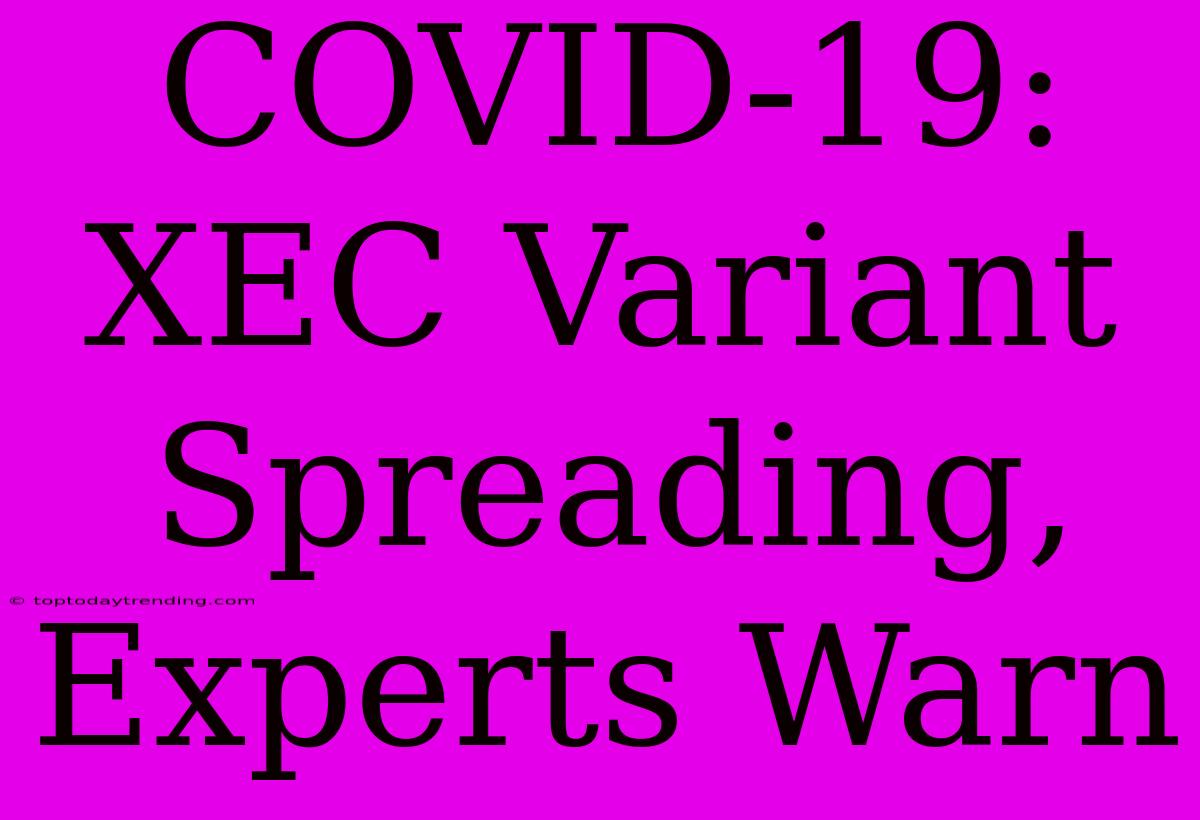 COVID-19: XEC Variant Spreading, Experts Warn