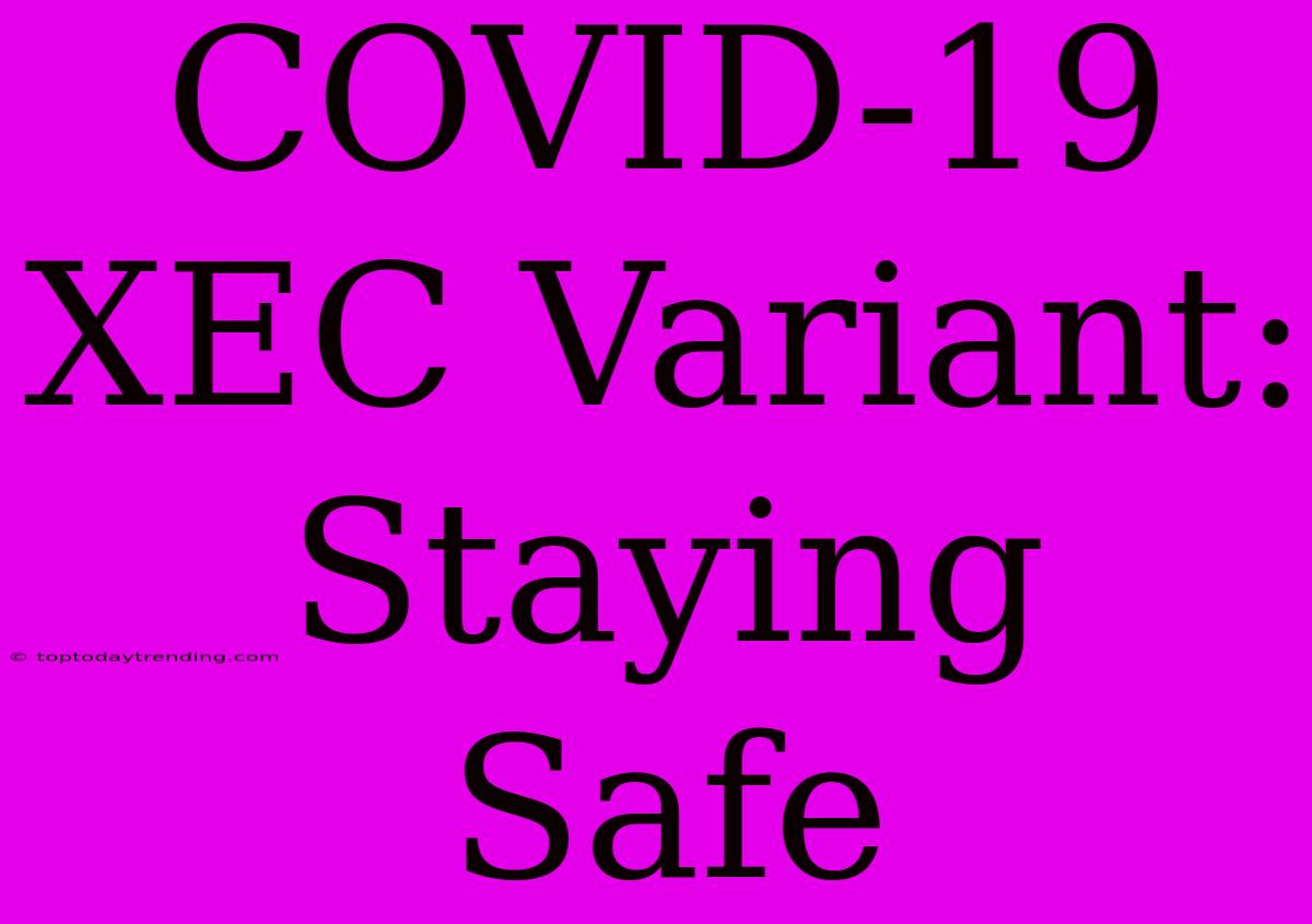 COVID-19 XEC Variant: Staying Safe