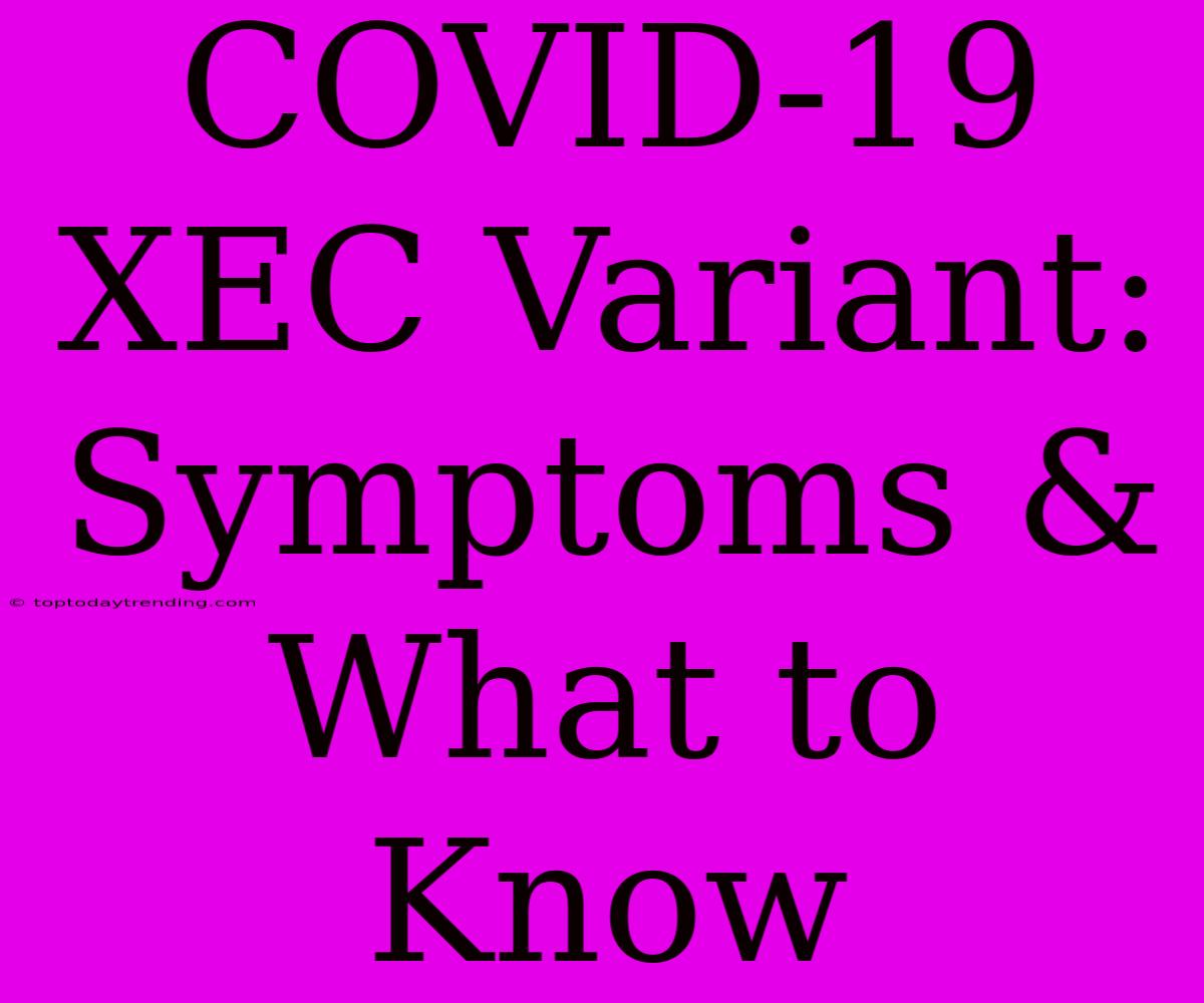 COVID-19 XEC Variant: Symptoms & What To Know