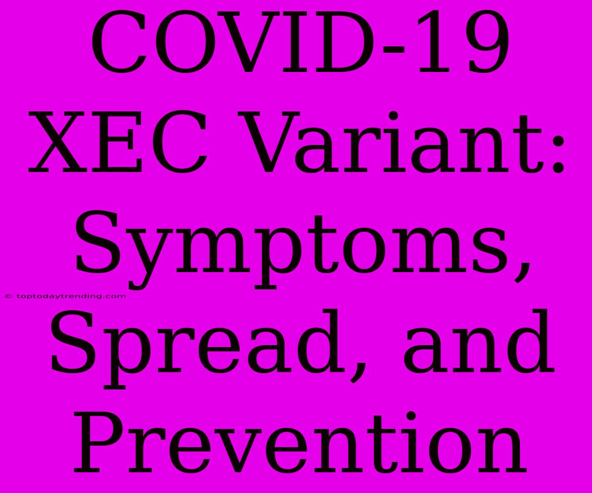 COVID-19 XEC Variant: Symptoms, Spread, And Prevention