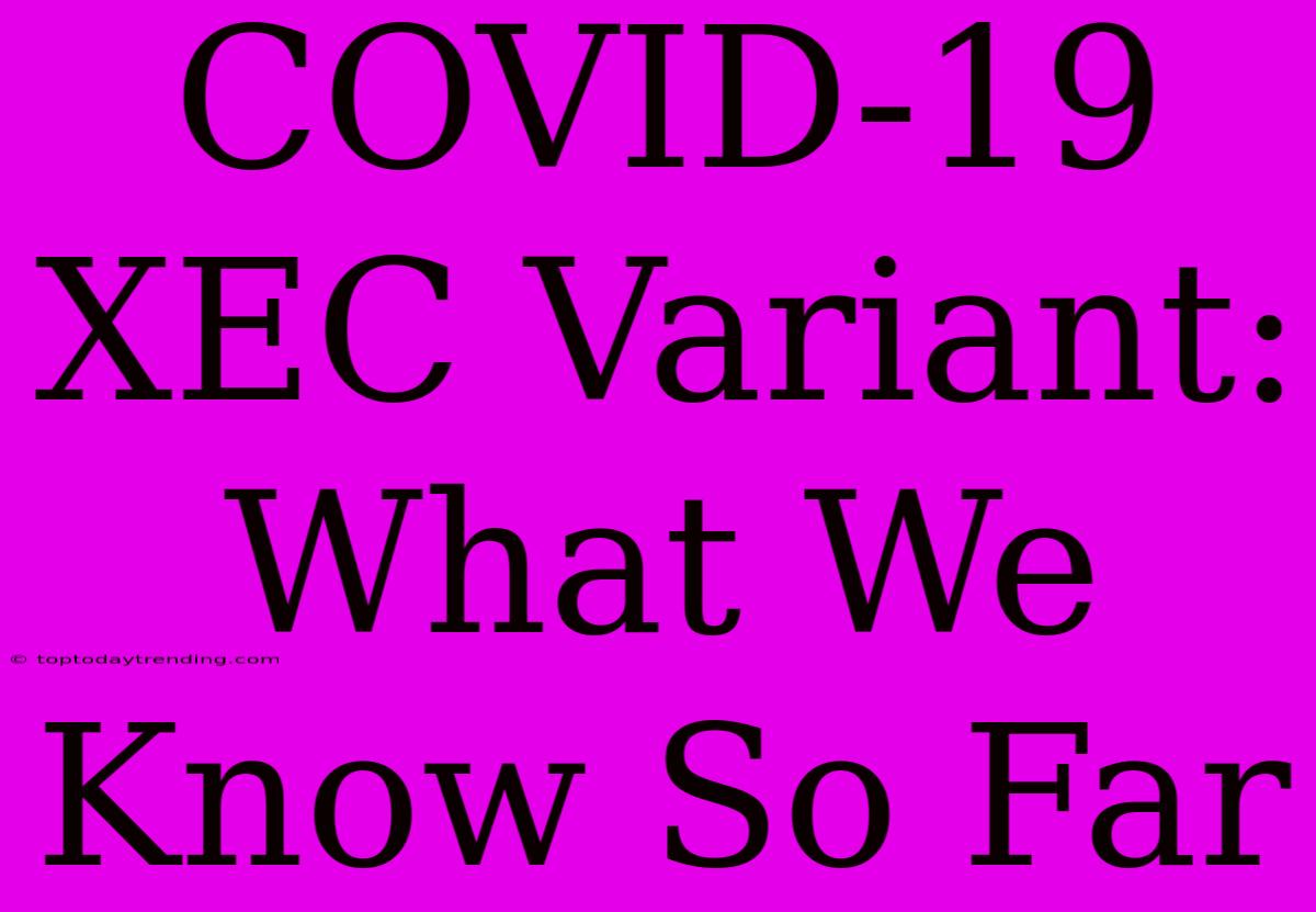 COVID-19 XEC Variant: What We Know So Far