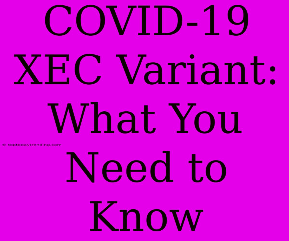 COVID-19 XEC Variant: What You Need To Know