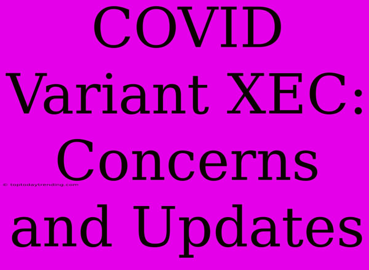 COVID Variant XEC: Concerns And Updates