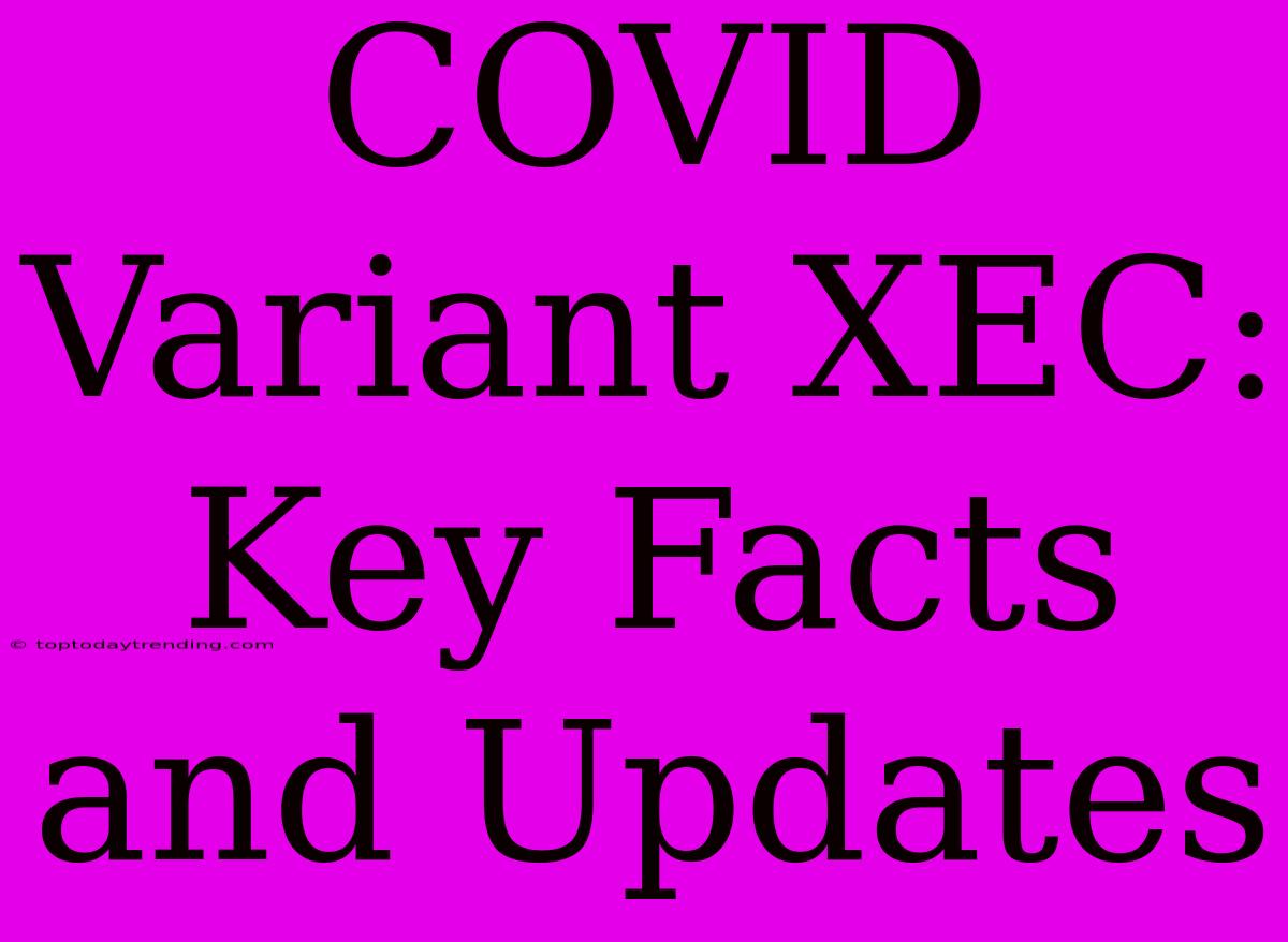 COVID Variant XEC: Key Facts And Updates