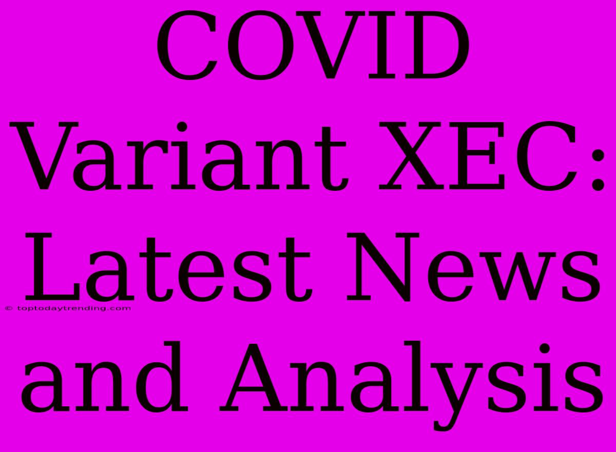 COVID Variant XEC:  Latest News And Analysis