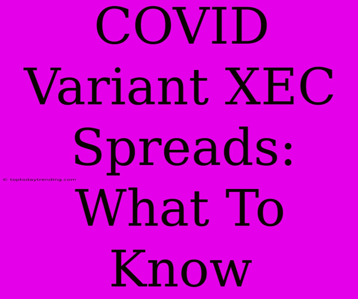 COVID Variant XEC Spreads: What To Know