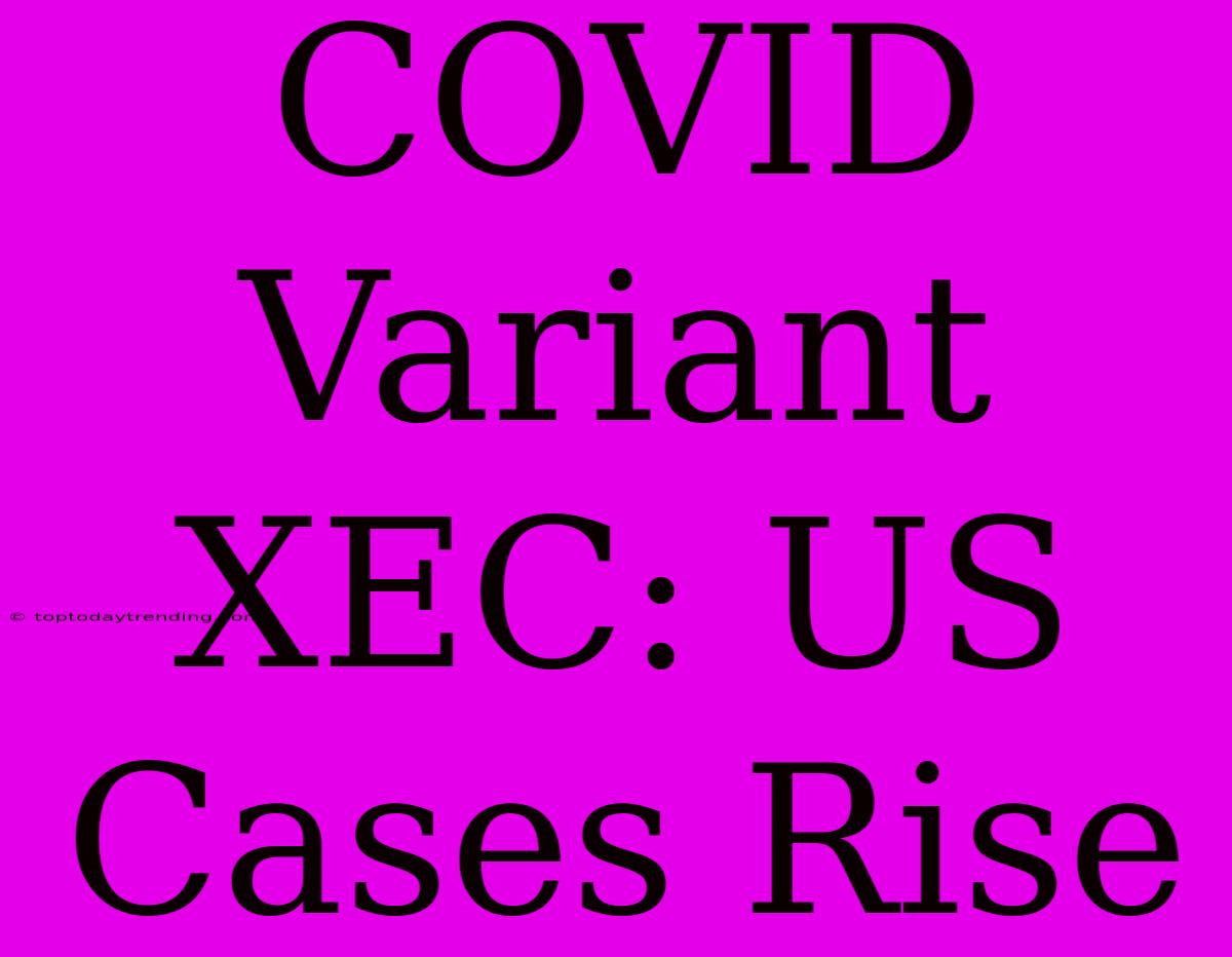 COVID Variant XEC: US Cases Rise