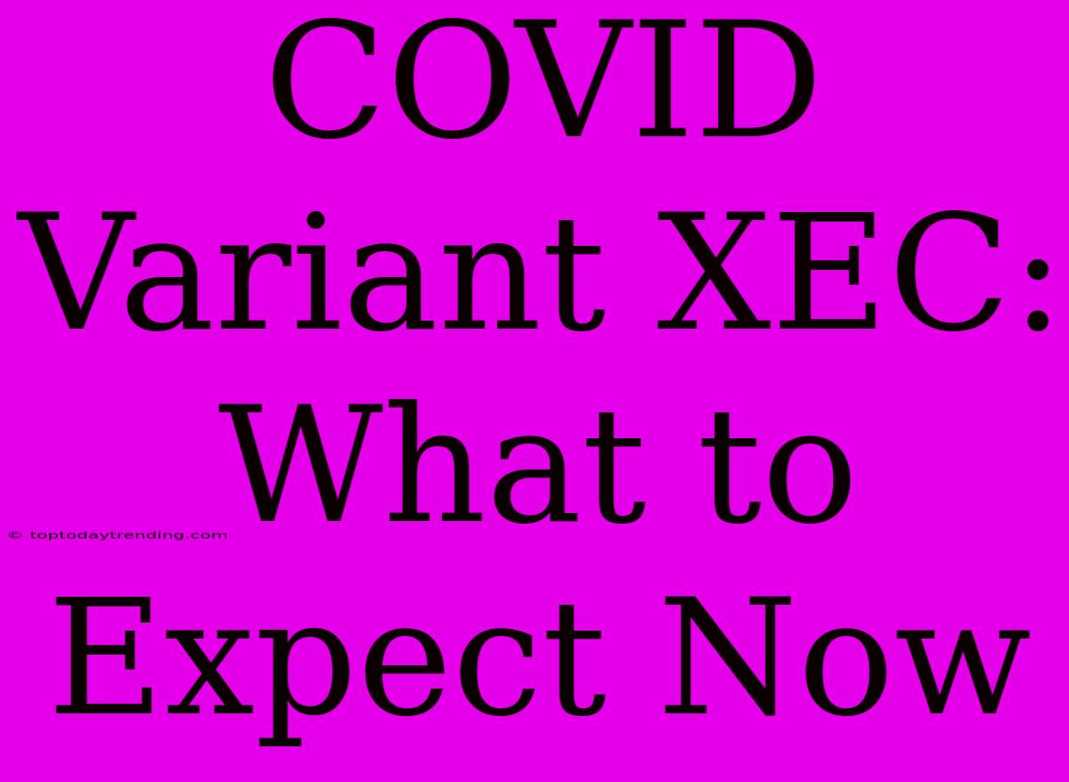 COVID Variant XEC: What To Expect Now