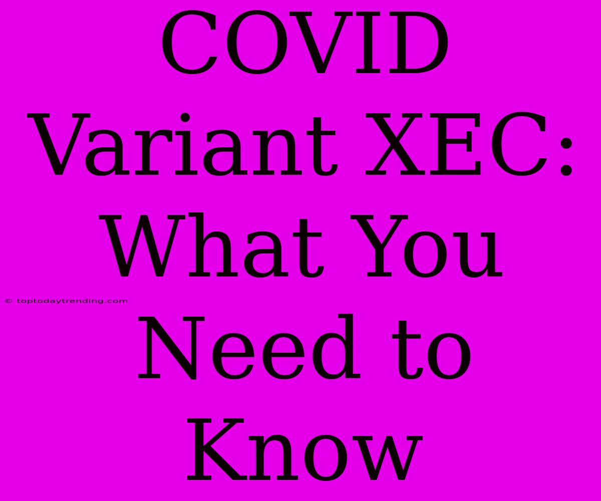 COVID Variant XEC: What You Need To Know